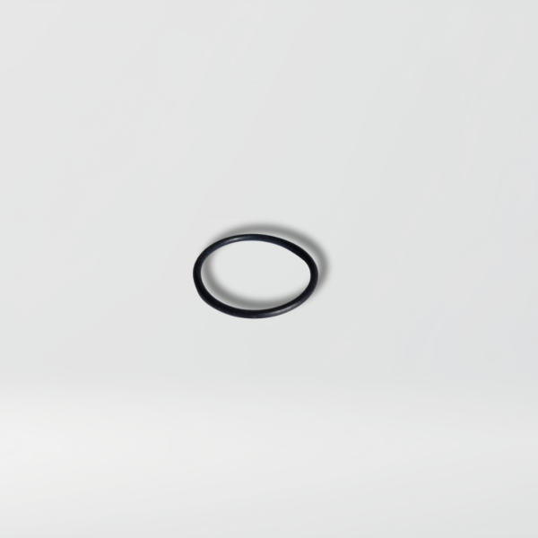 TS20 Hose ORing